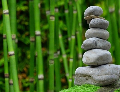 3 astuces pour rendre un jardin Feng Shui